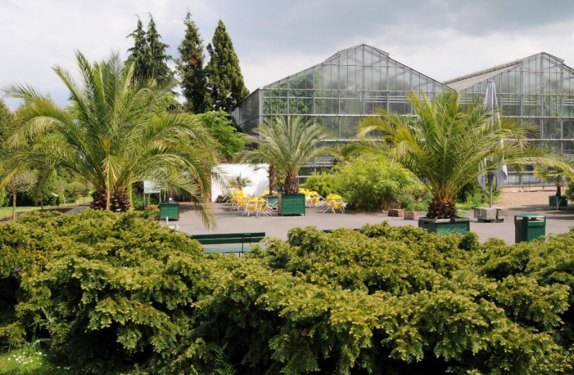 Keltengarten Neuer Botanischer Garten, Marburg, Germany, Germany
